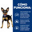 2 x 1 kg Hill's Prescription Diet Metabolic Mini Weight Loss pienso para perros ¡Pack ahorro!, , large indicador imagen numero 4